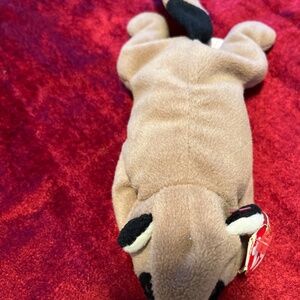 Ringo the raccoon rate Beanie Baby 1995; tag a little wrinkled but excellent  co